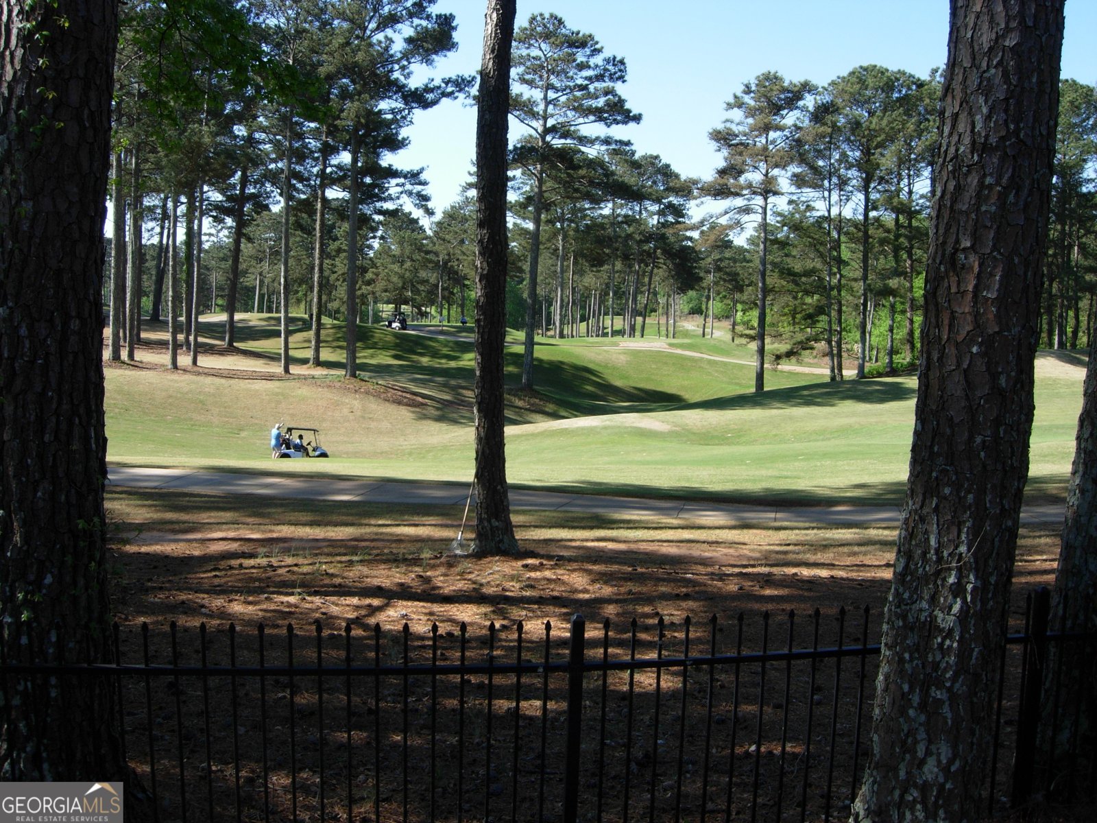 6697 Gunstock Lane Tucker - Photo 12