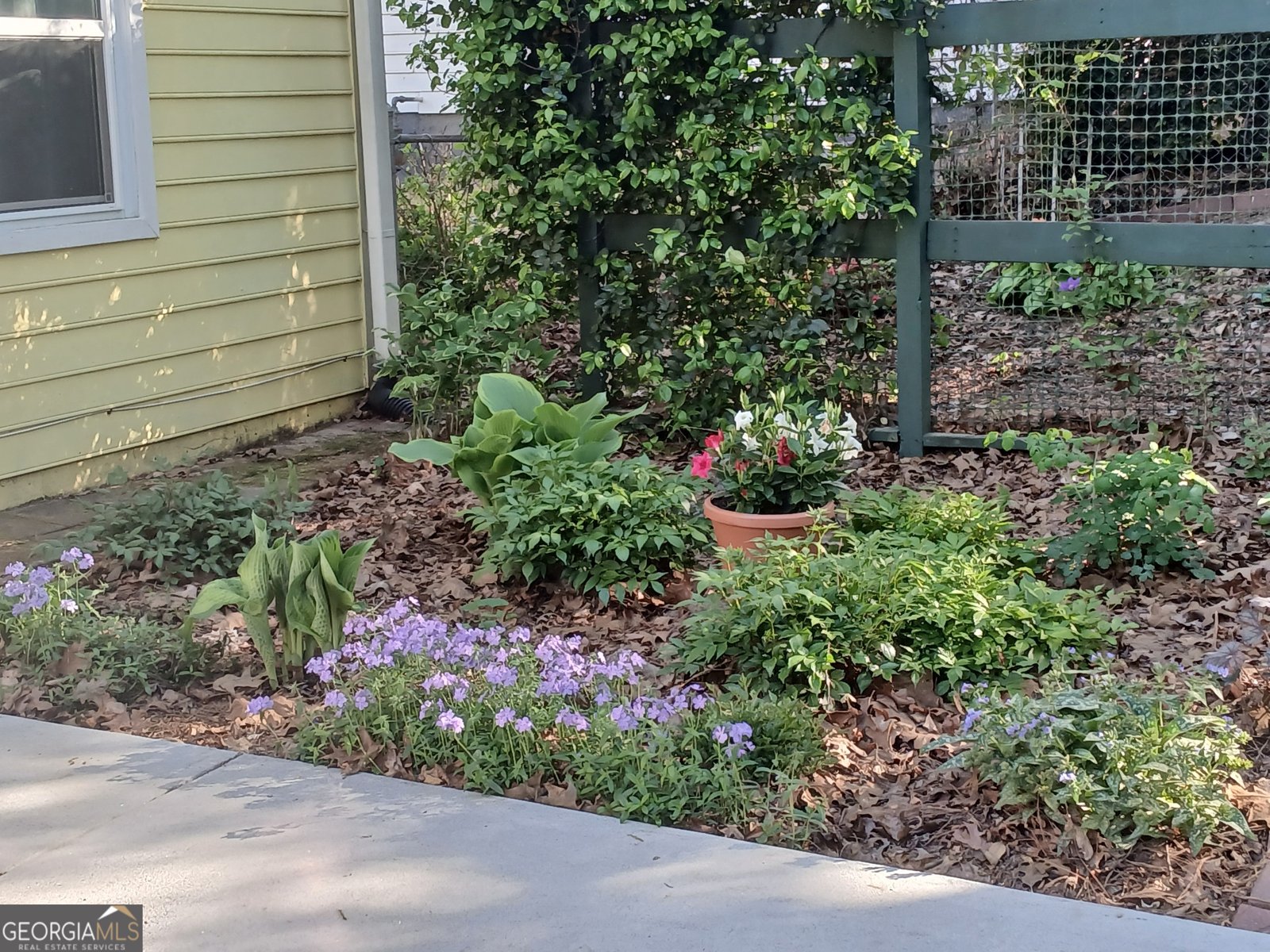 6697 Gunstock Lane Tucker - Photo 9