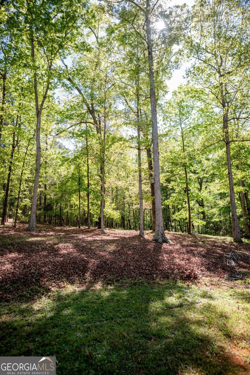 1020 Greenwood Drive Watkinsville - Photo 44