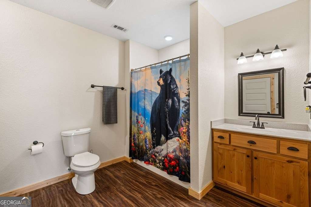 539 Summer Cove Road Blairsville - Photo 39