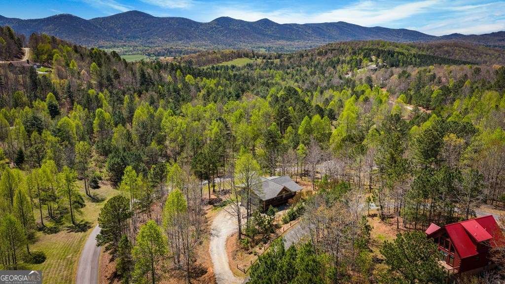 539 Summer Cove Road Blairsville - Photo 51