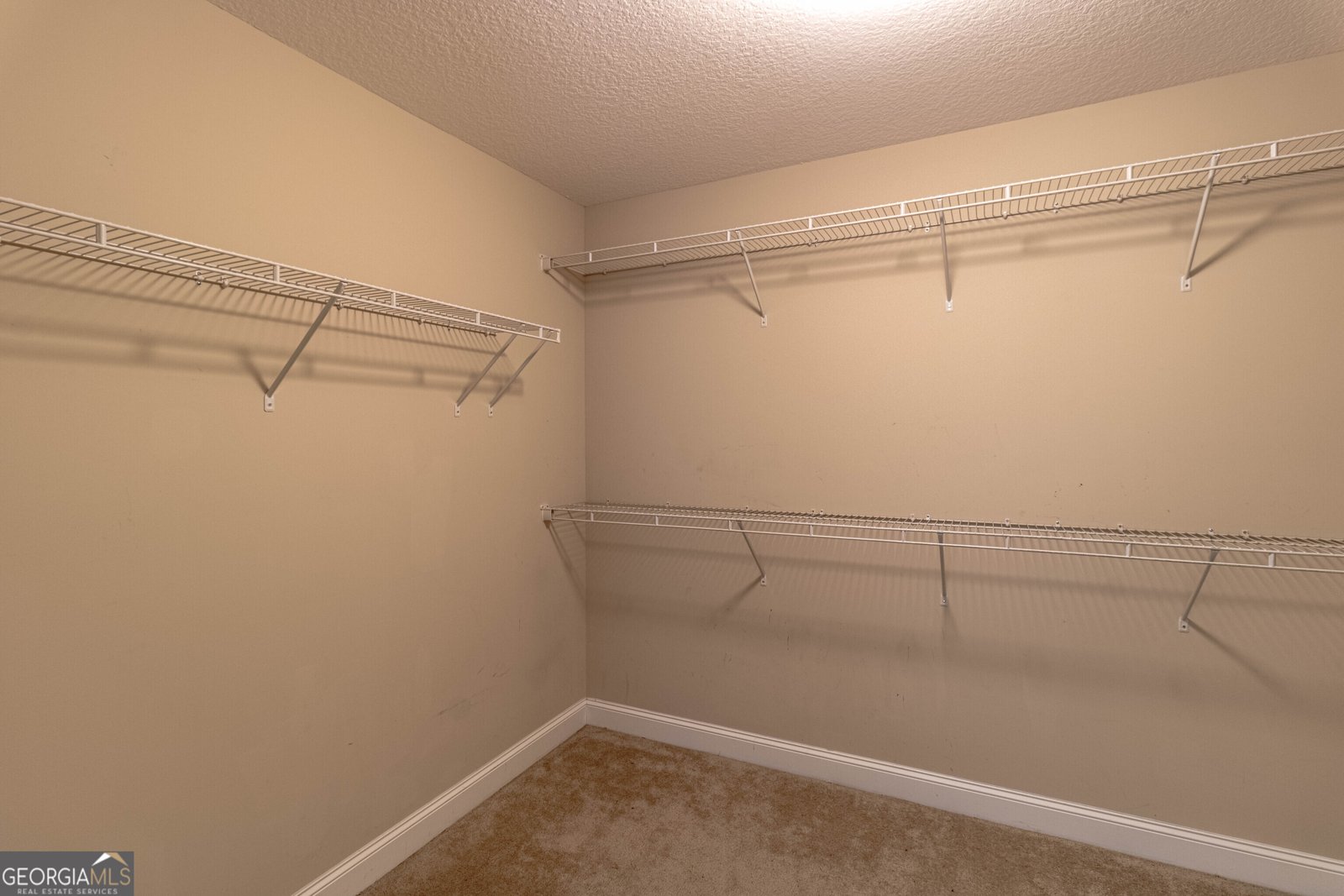 448 Mancey Garrason Loop Ludowici - Photo 17