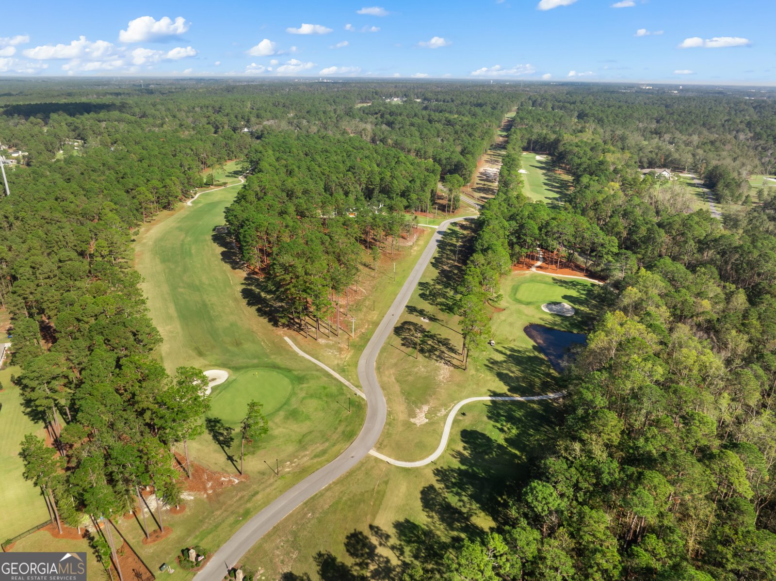 119 Elliswood Drive Statesboro - Photo 31