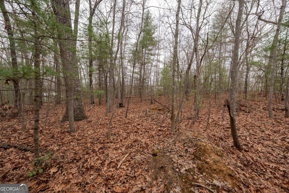 0 Owenby Road Blairsville - Photo 11