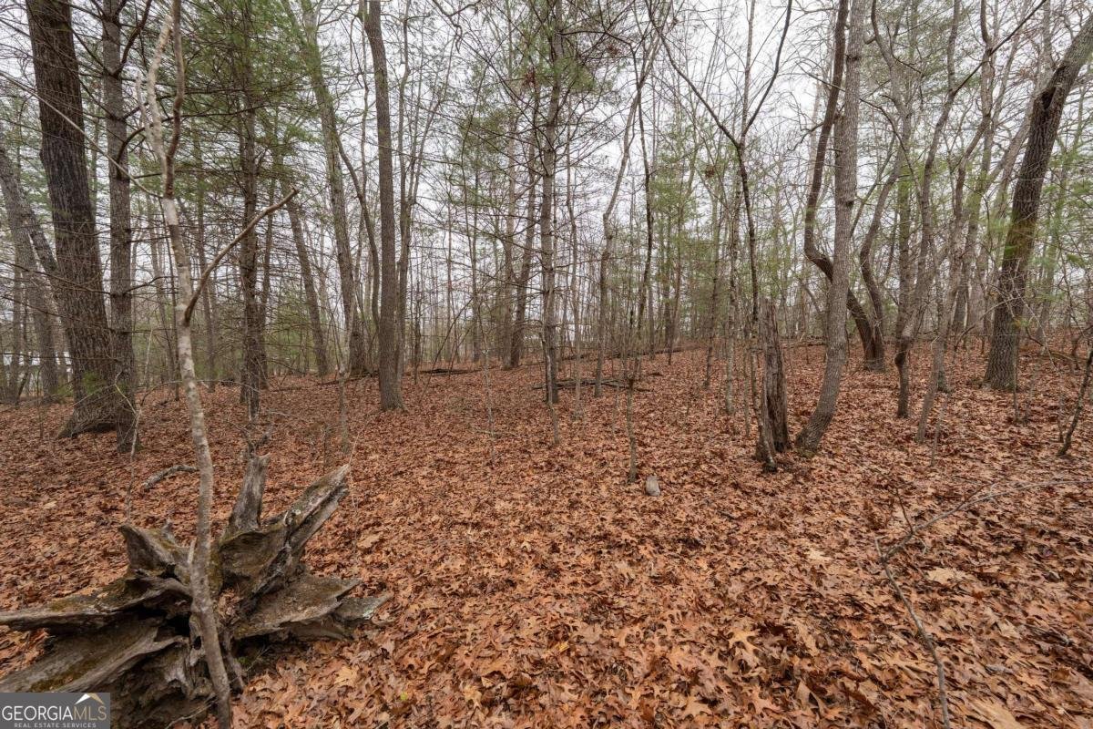 0 Owenby Road Blairsville - Photo 12