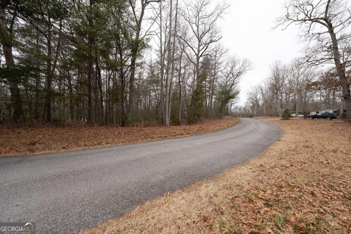 0 Owenby Road Blairsville - Photo 13