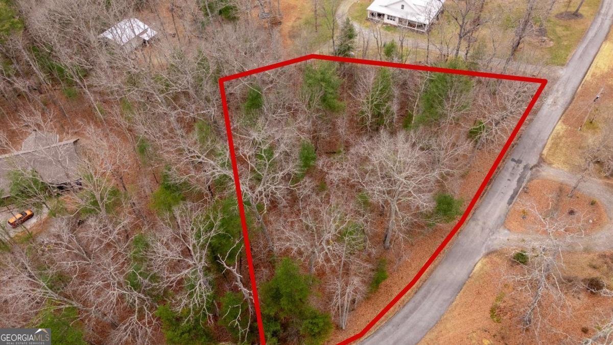 0 Owenby Road Blairsville - Photo 7