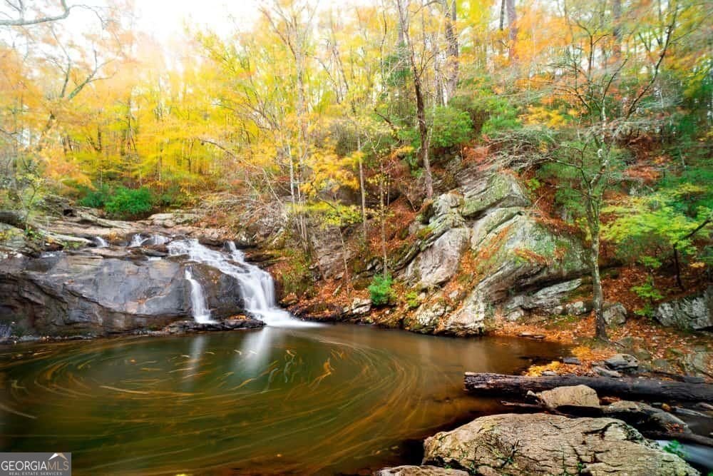 6354 Shannon Parkway Union City - Photo 10