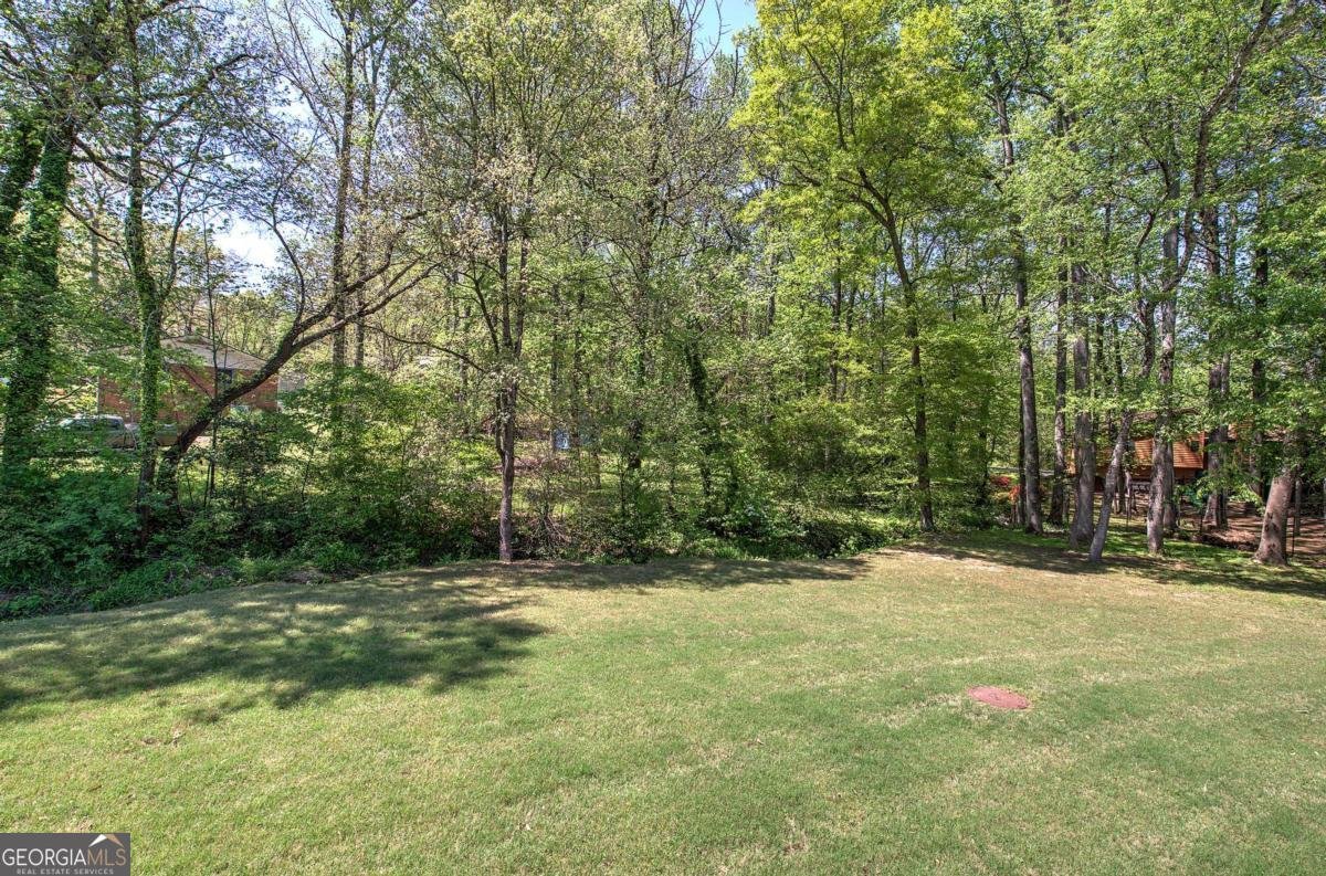 2534 Horseshoe Bend Road Marietta - Photo 45