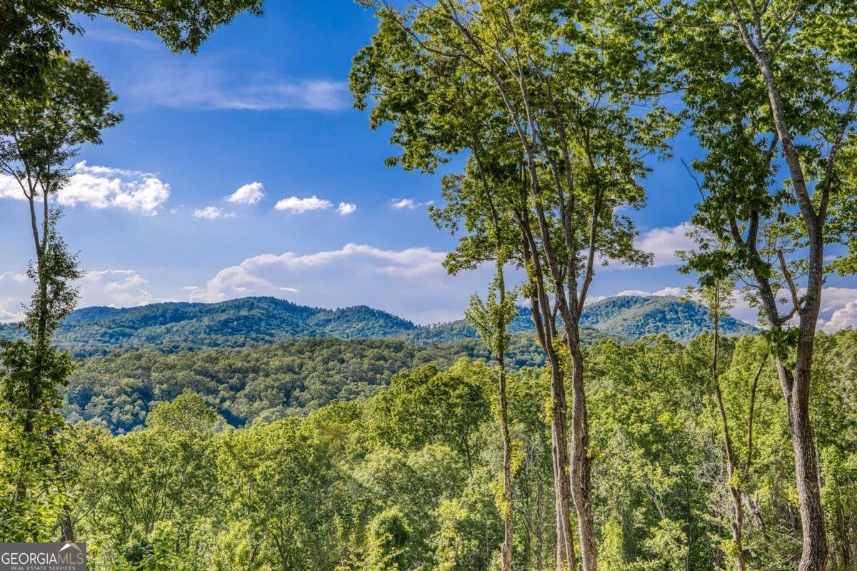 245 Mountain Retreat Drive Morganton - Photo 19