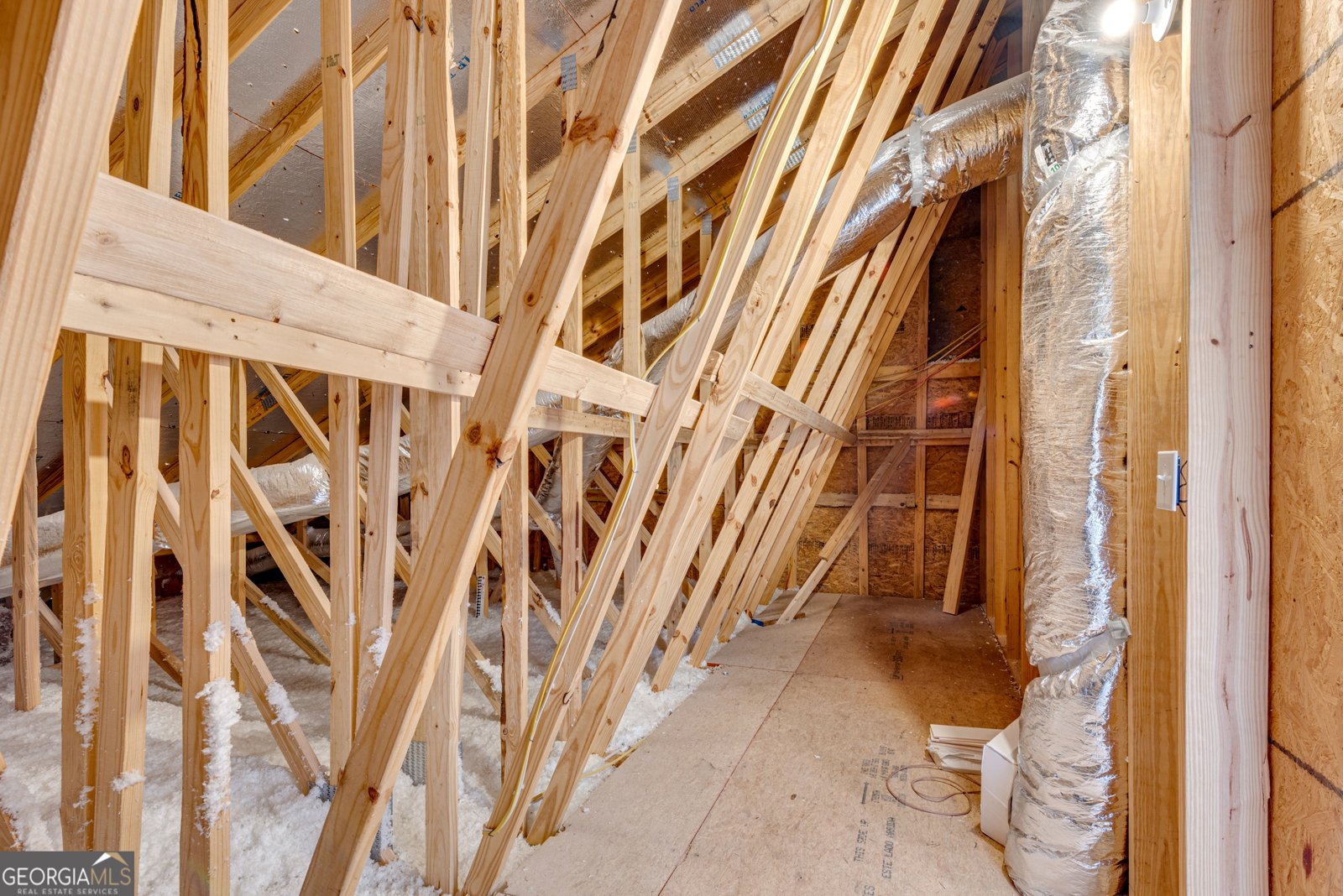 105 Bergenia Way Canton - Photo 38