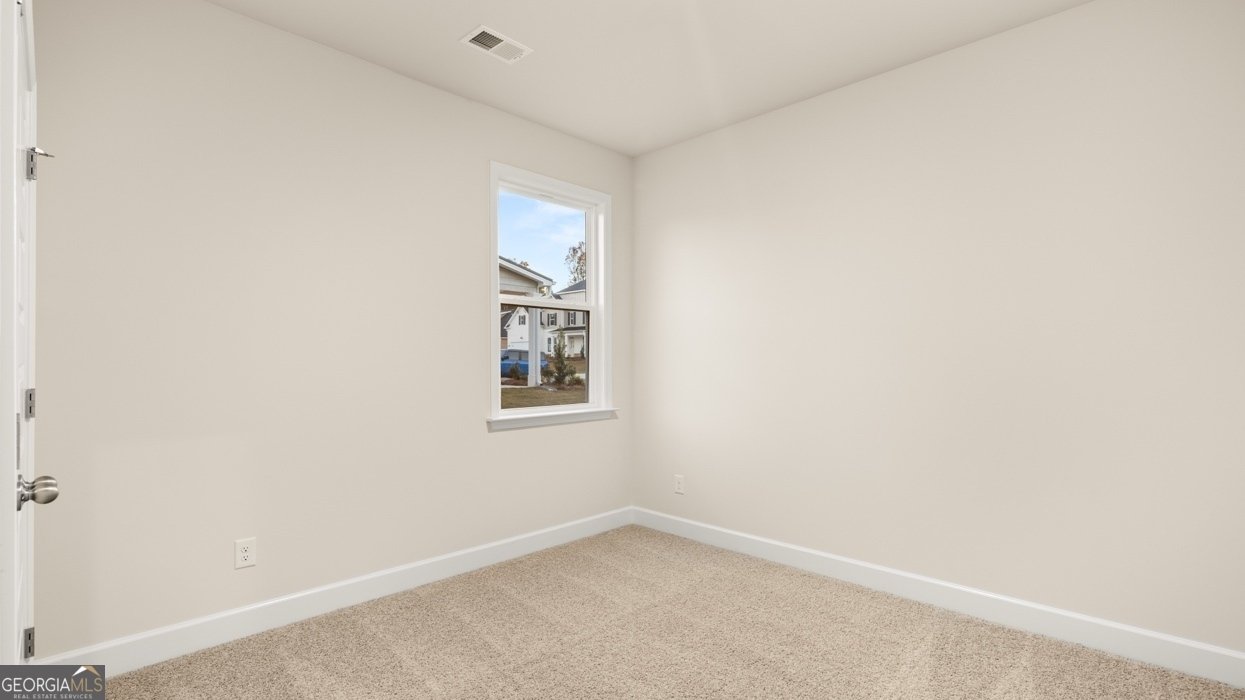 145 Sapelo Drive Senoia - Photo 19