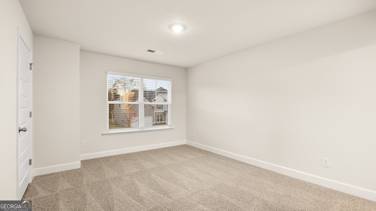 145 Sapelo Drive Senoia - Photo 33