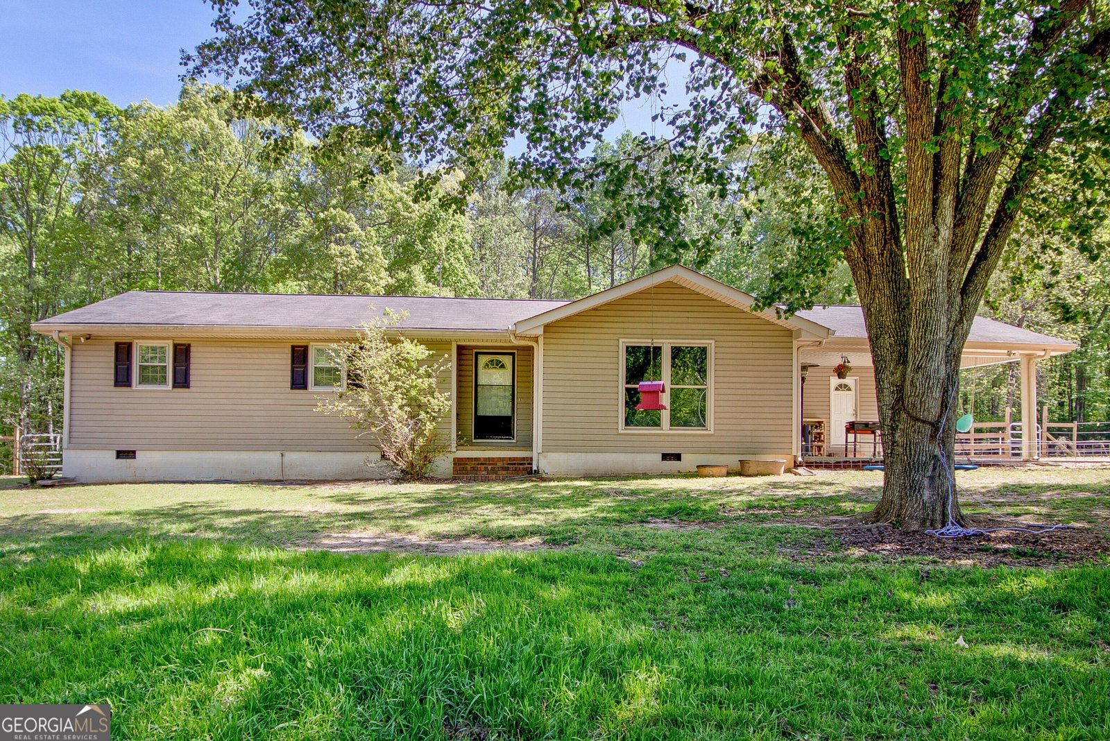 404 Tranquil Cemetary Road Senoia - Photo 1