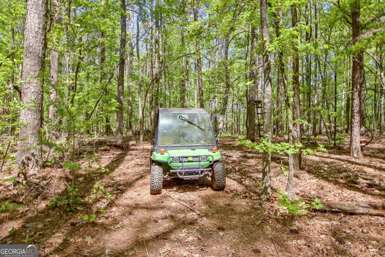 404 Tranquil Cemetary Road Senoia - Photo 12