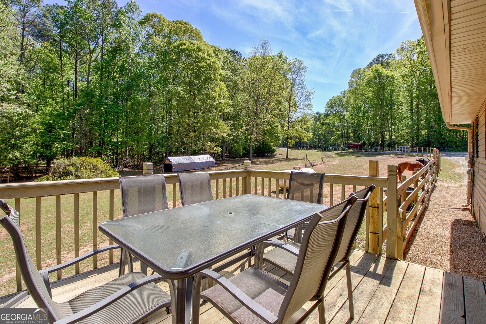 404 Tranquil Cemetary Road Senoia - Photo 38