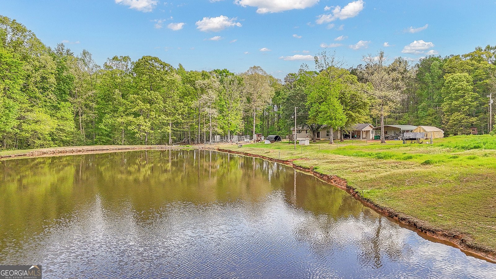 404 Tranquil Cemetary Road Senoia - Photo 46