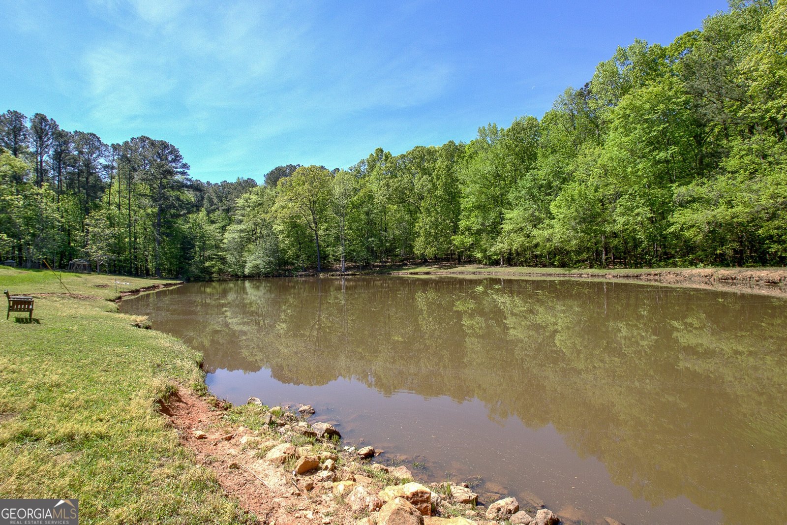 404 Tranquil Cemetary Road Senoia - Photo 47