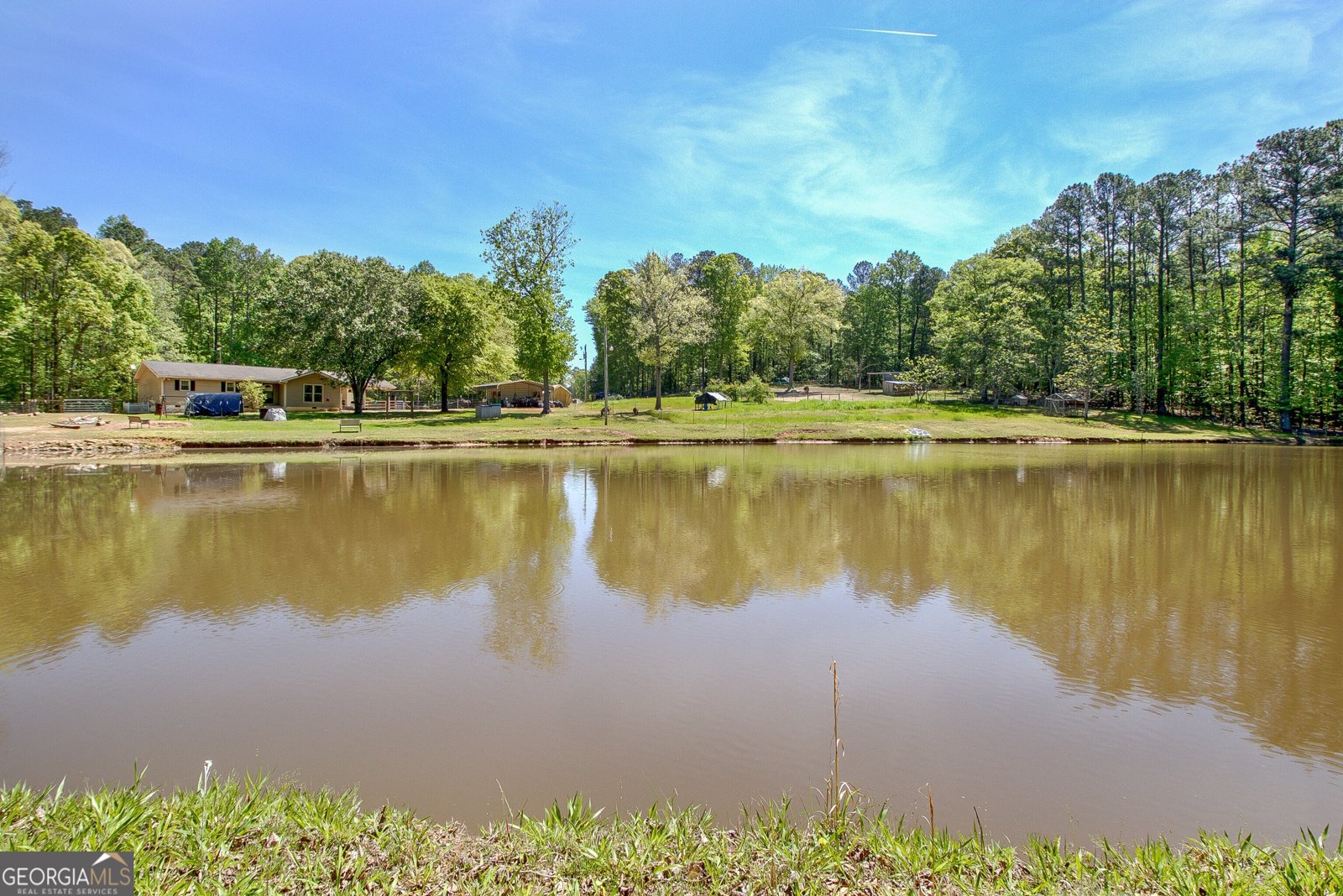 404 Tranquil Cemetary Road Senoia - Photo 48