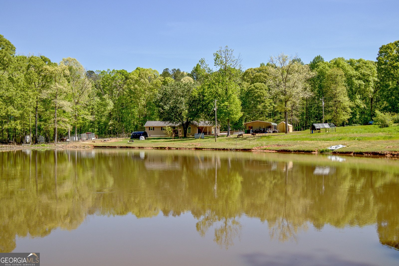 404 Tranquil Cemetary Road Senoia - Photo 50