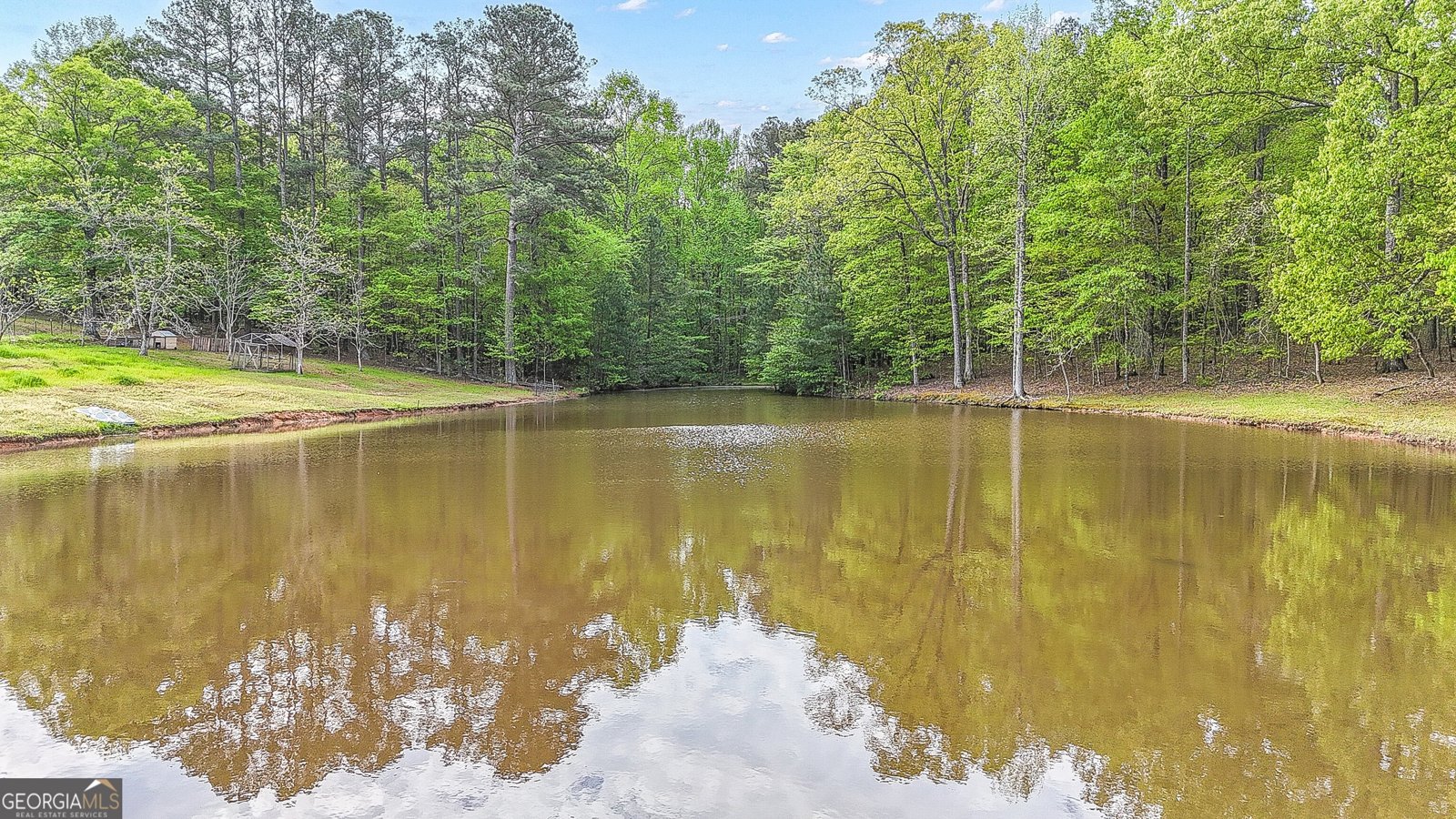 404 Tranquil Cemetary Road Senoia - Photo 51