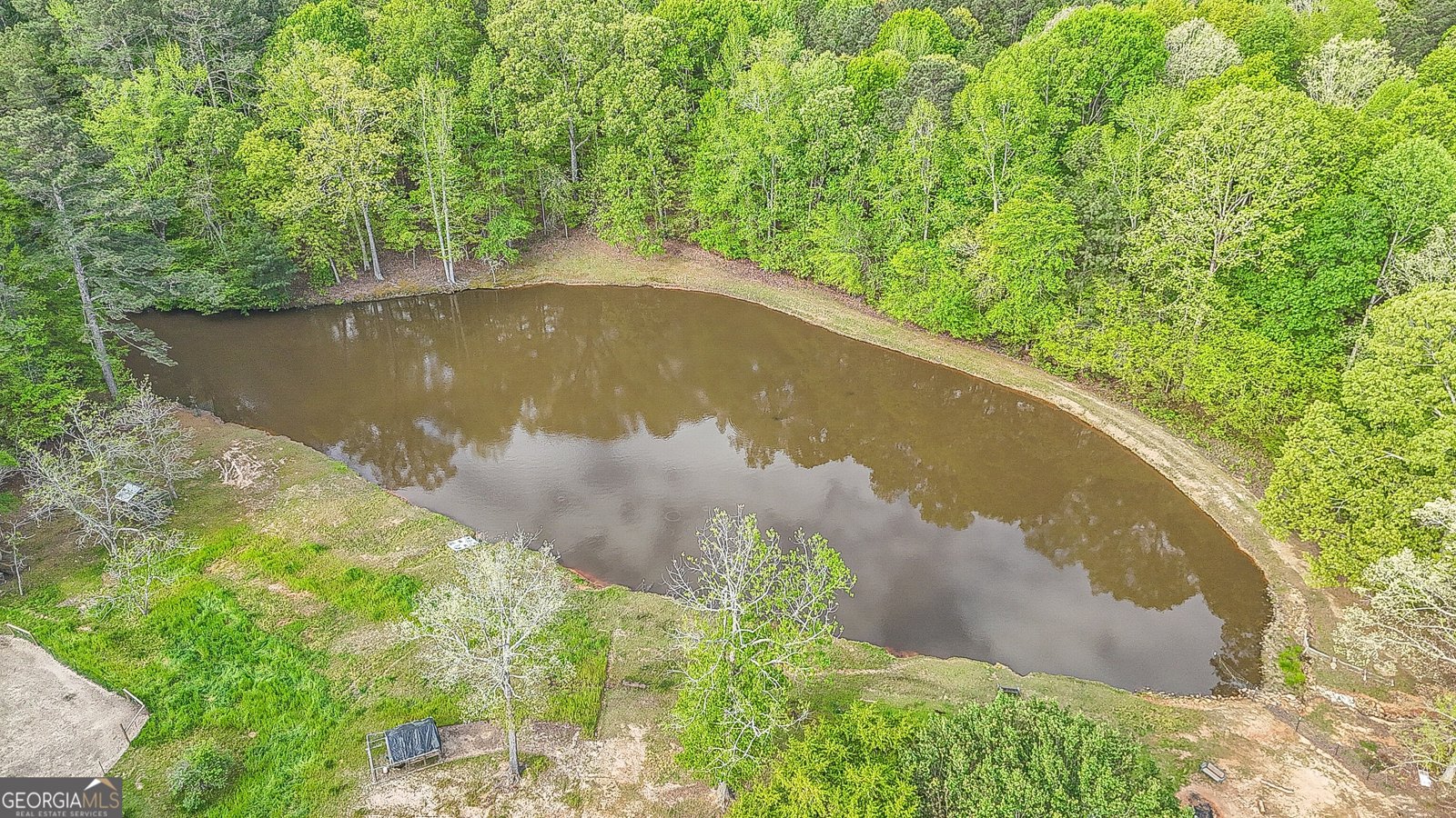 404 Tranquil Cemetary Road Senoia - Photo 52