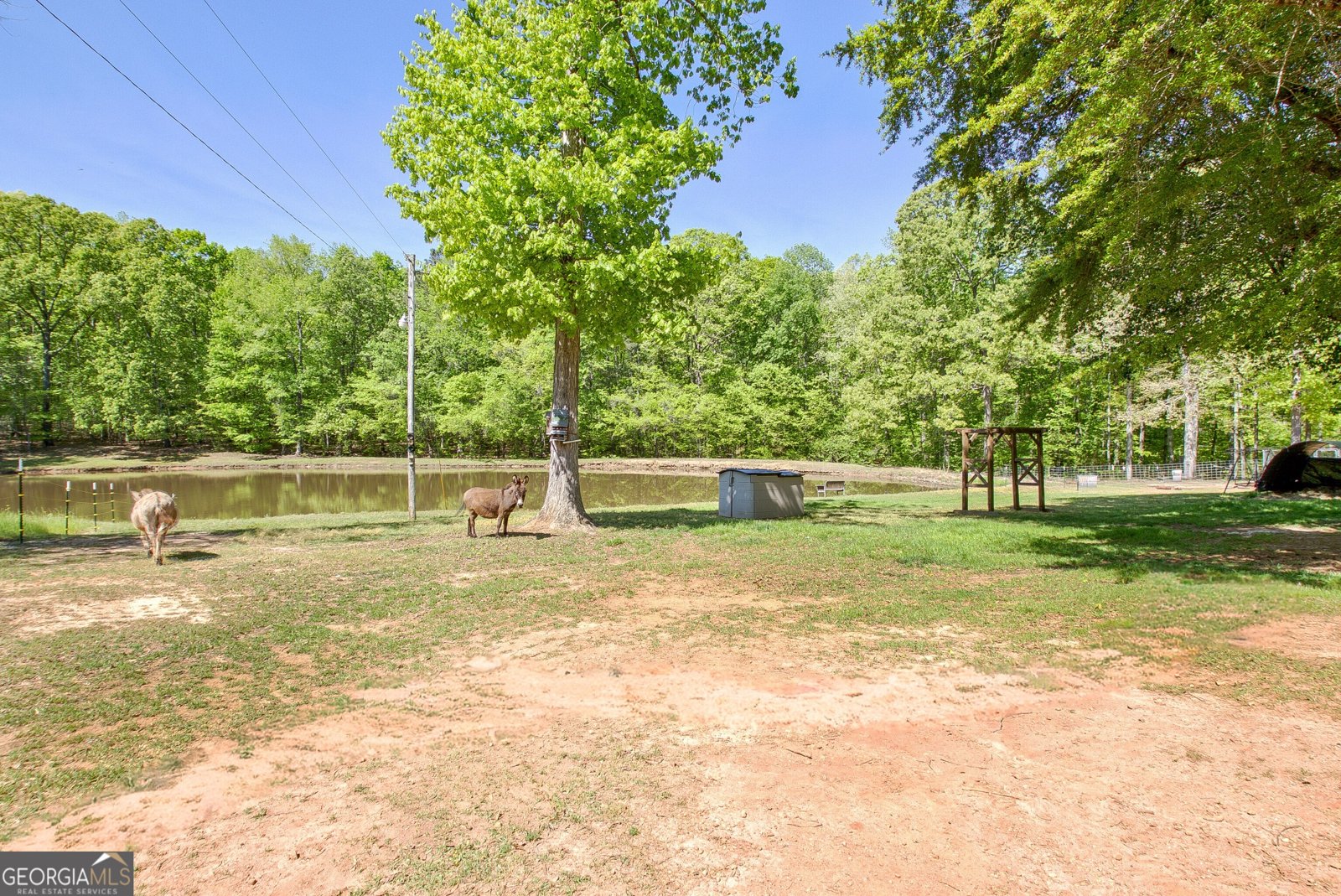 404 Tranquil Cemetary Road Senoia - Photo 53