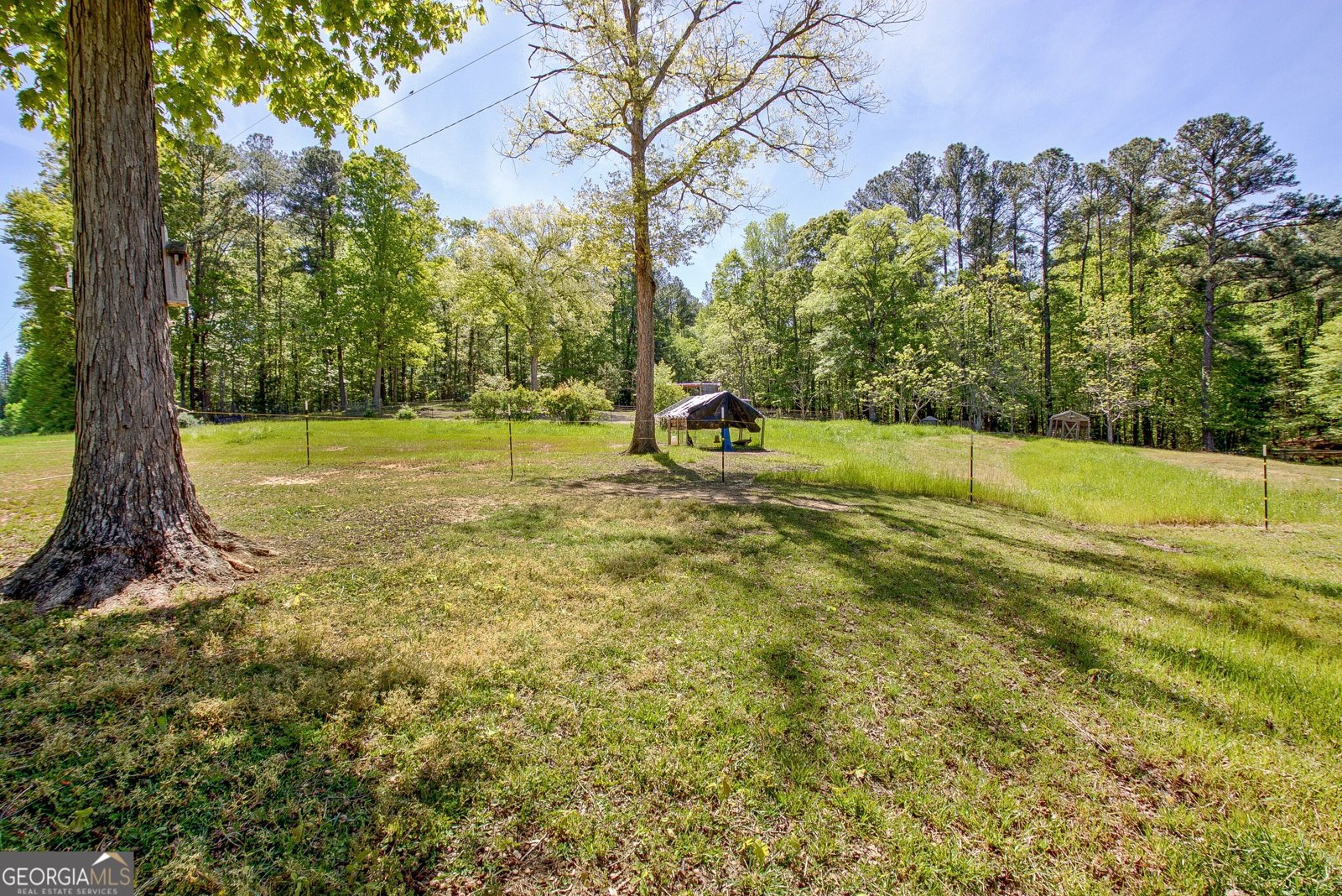 404 Tranquil Cemetary Road Senoia - Photo 55
