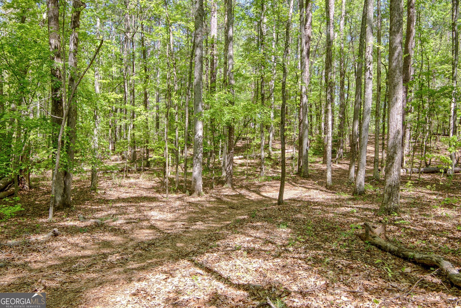 404 Tranquil Cemetary Road Senoia - Photo 62