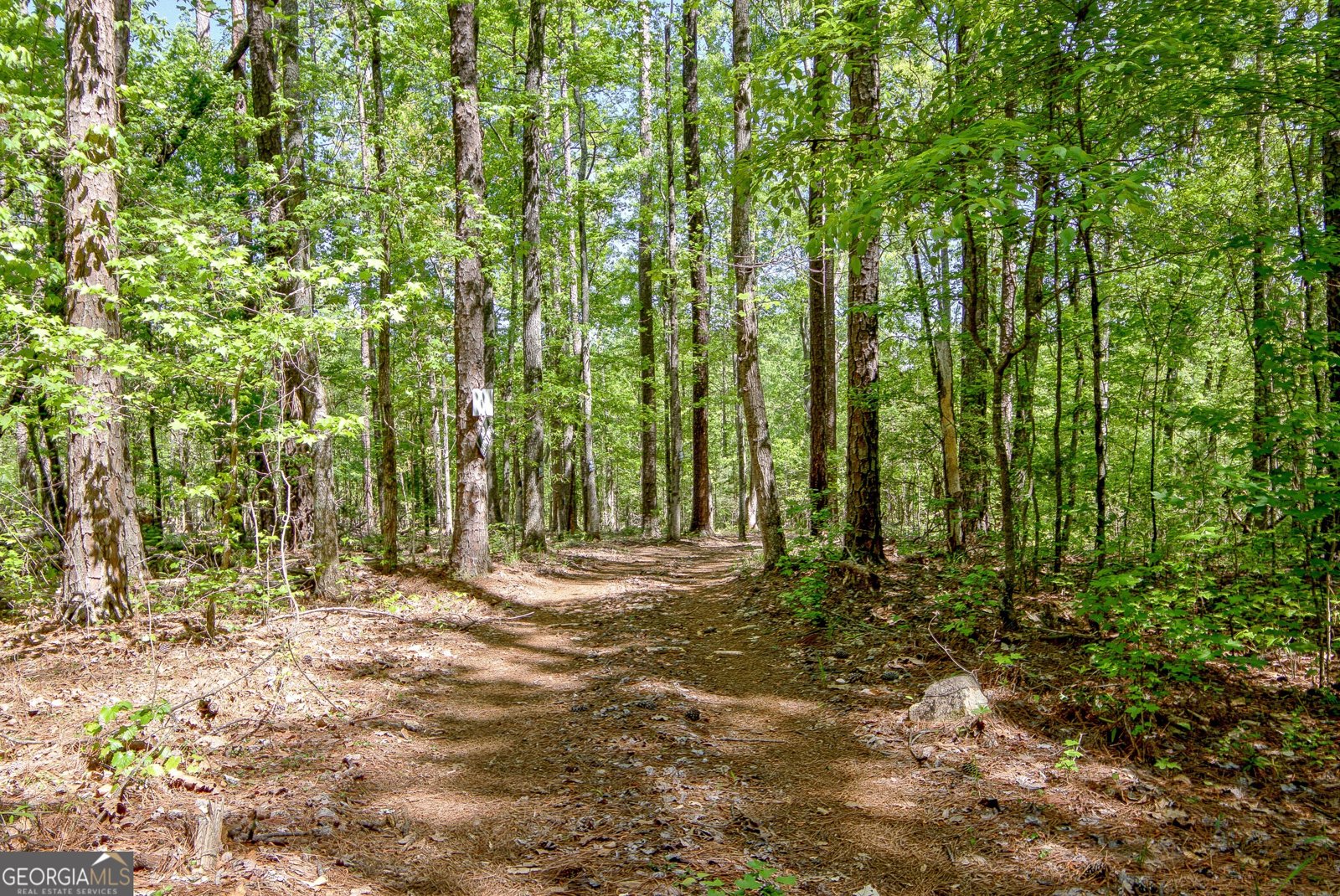 404 Tranquil Cemetary Road Senoia - Photo 63