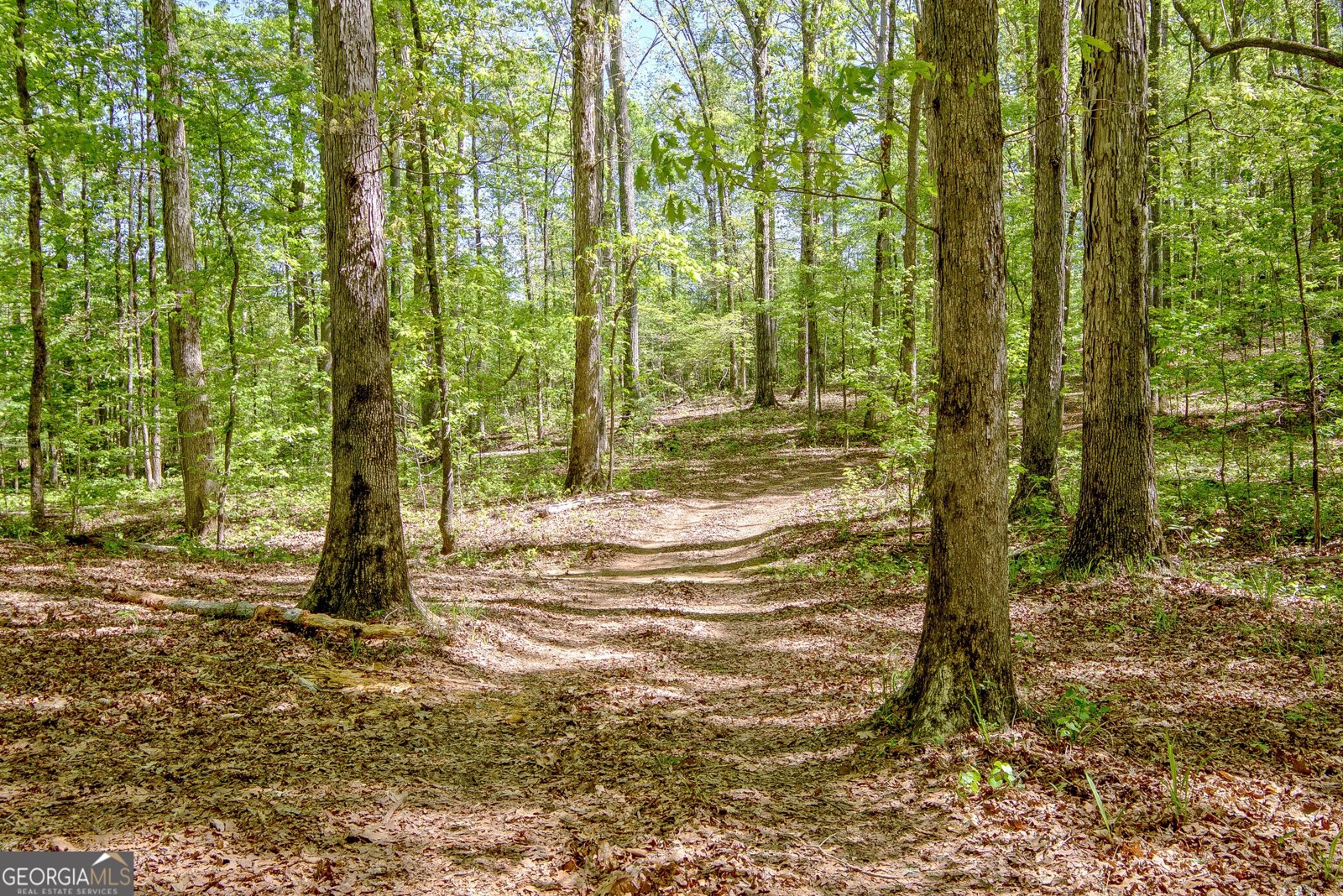 404 Tranquil Cemetary Road Senoia - Photo 64