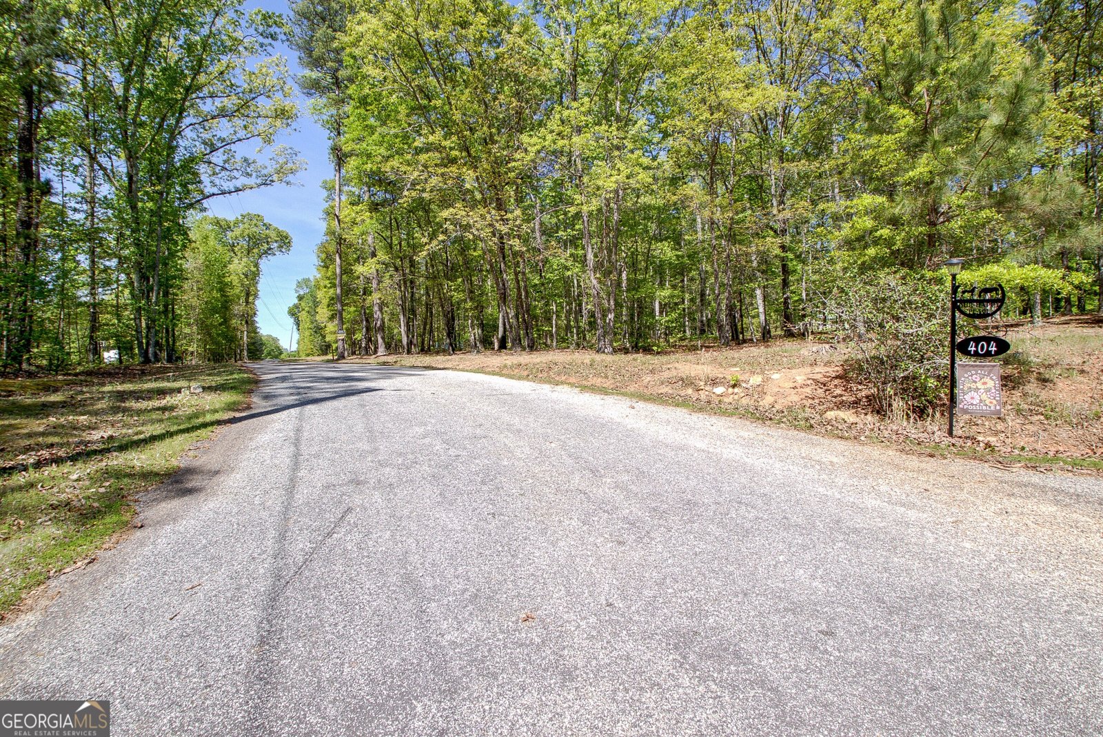 404 Tranquil Cemetary Road Senoia - Photo 65