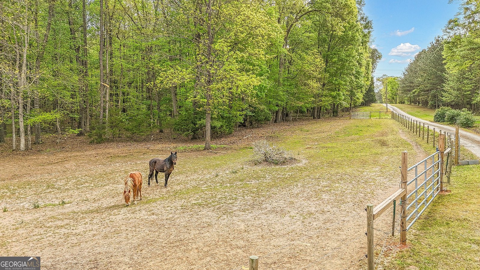 404 Tranquil Cemetary Road Senoia - Photo 9