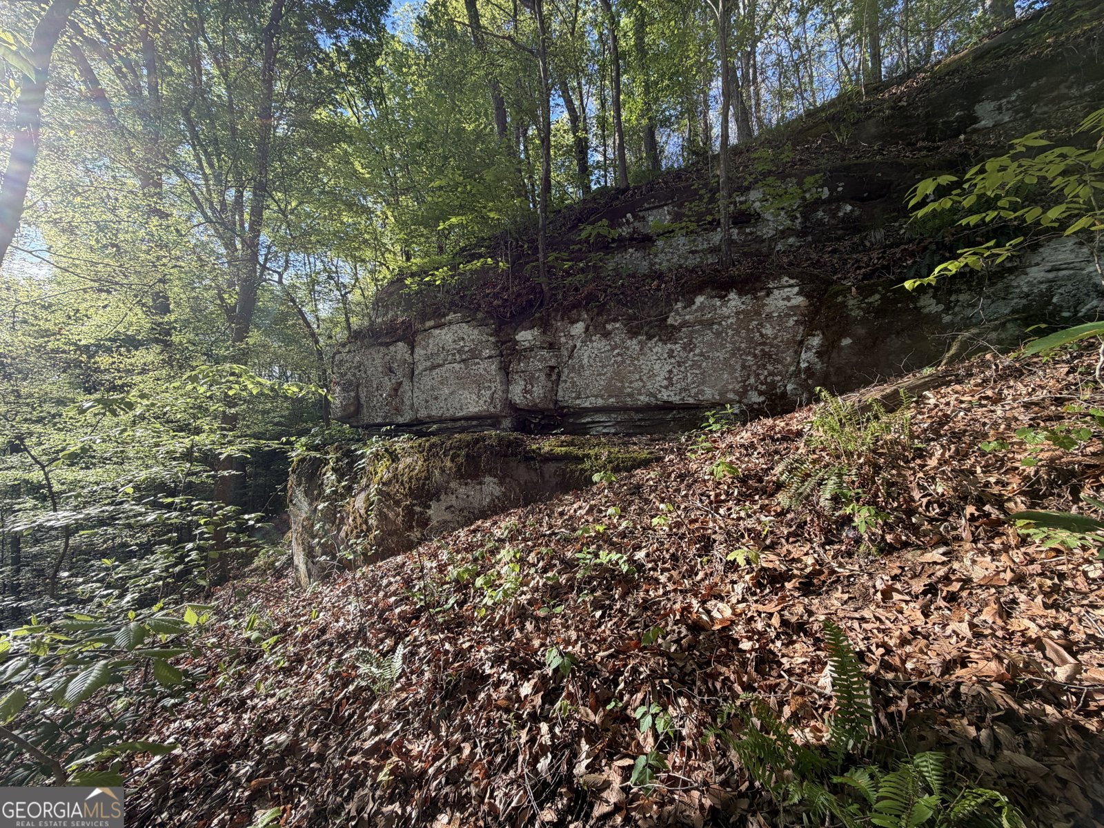 3052 Damascus Baldwin - Photo 35