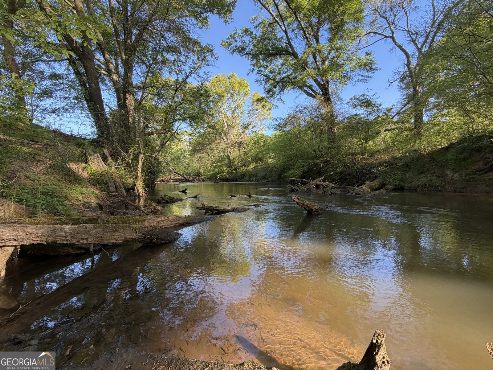 3052 Damascus Baldwin - Photo 38