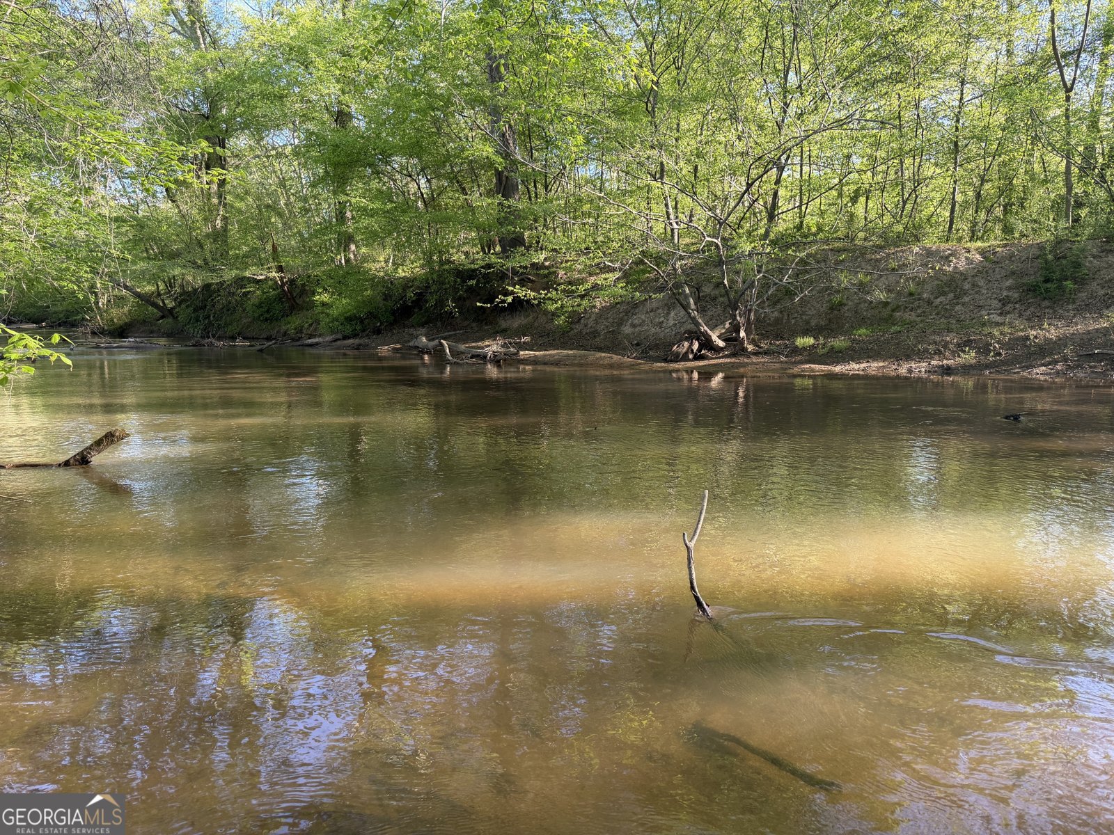 3052 Damascus Baldwin - Photo 41