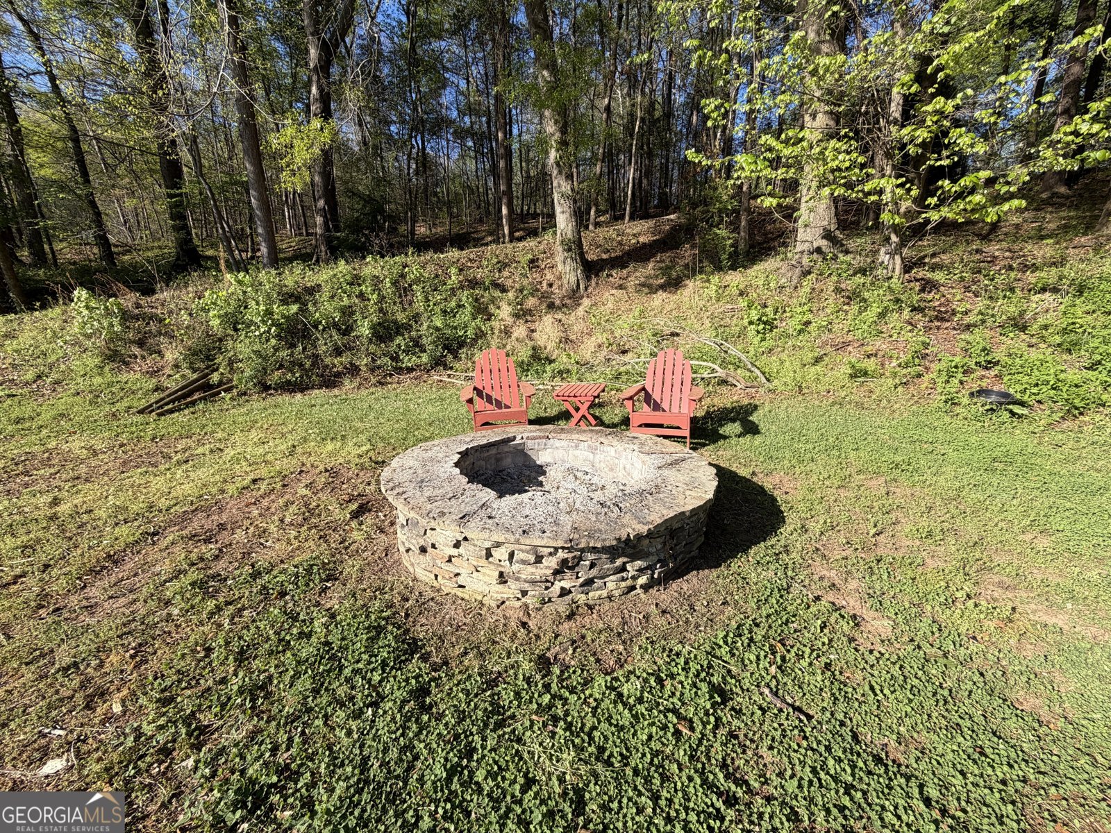 3052 Damascus Baldwin - Photo 44