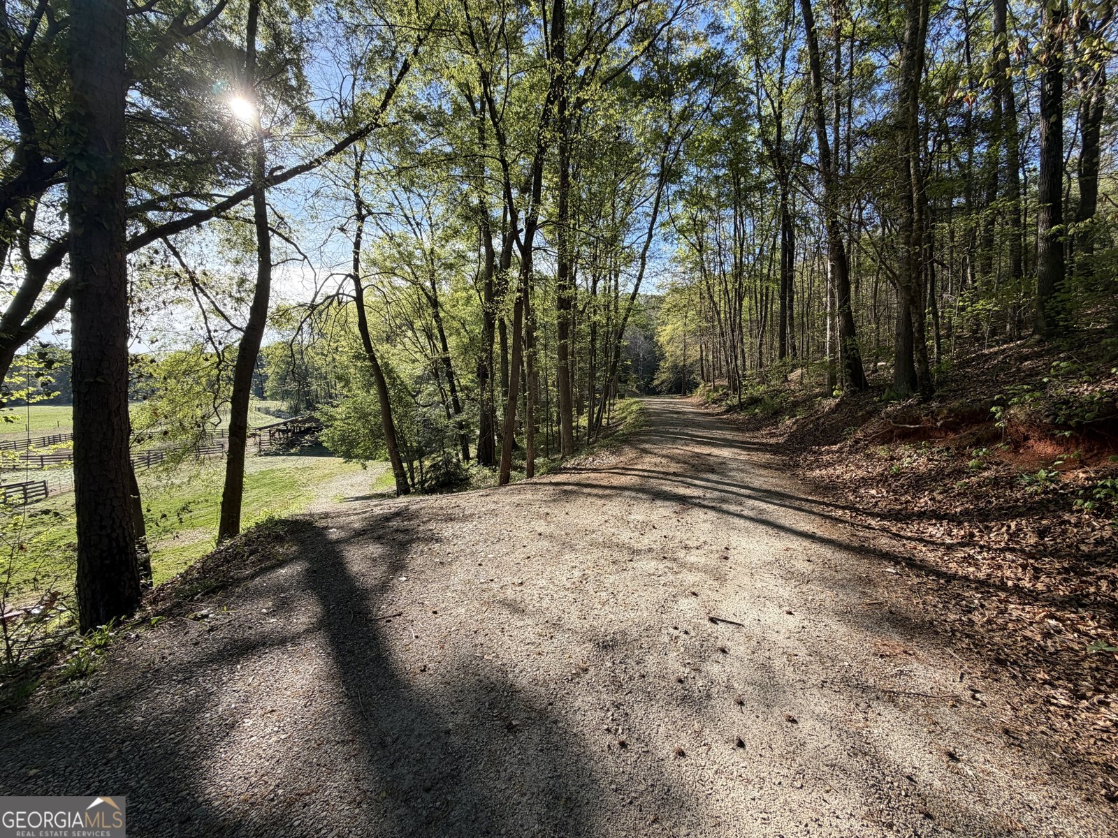 3052 Damascus Baldwin - Photo 45