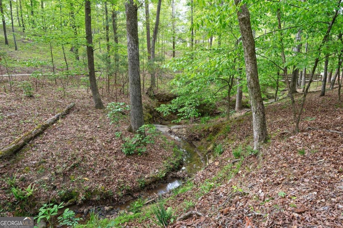 1080 Jones Bluff Court Greensboro - Photo 59