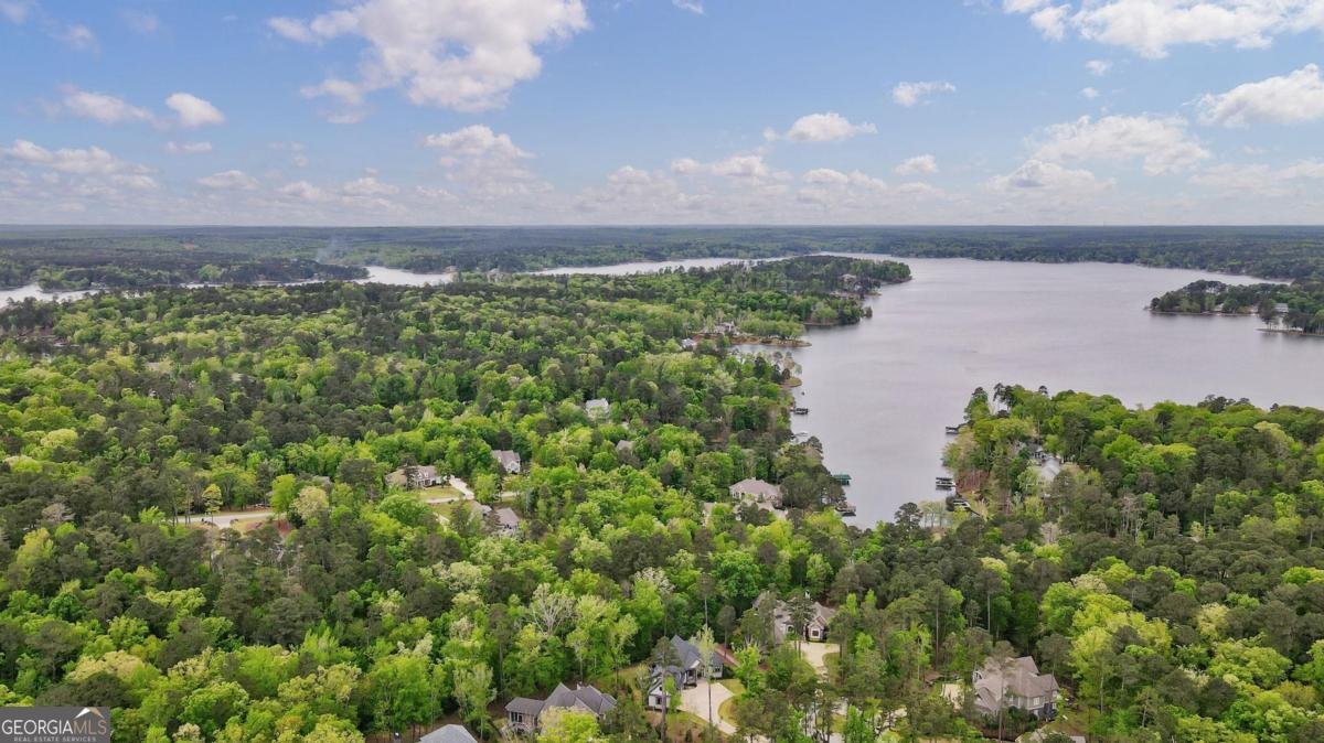 1080 Jones Bluff Court Greensboro - Photo 61