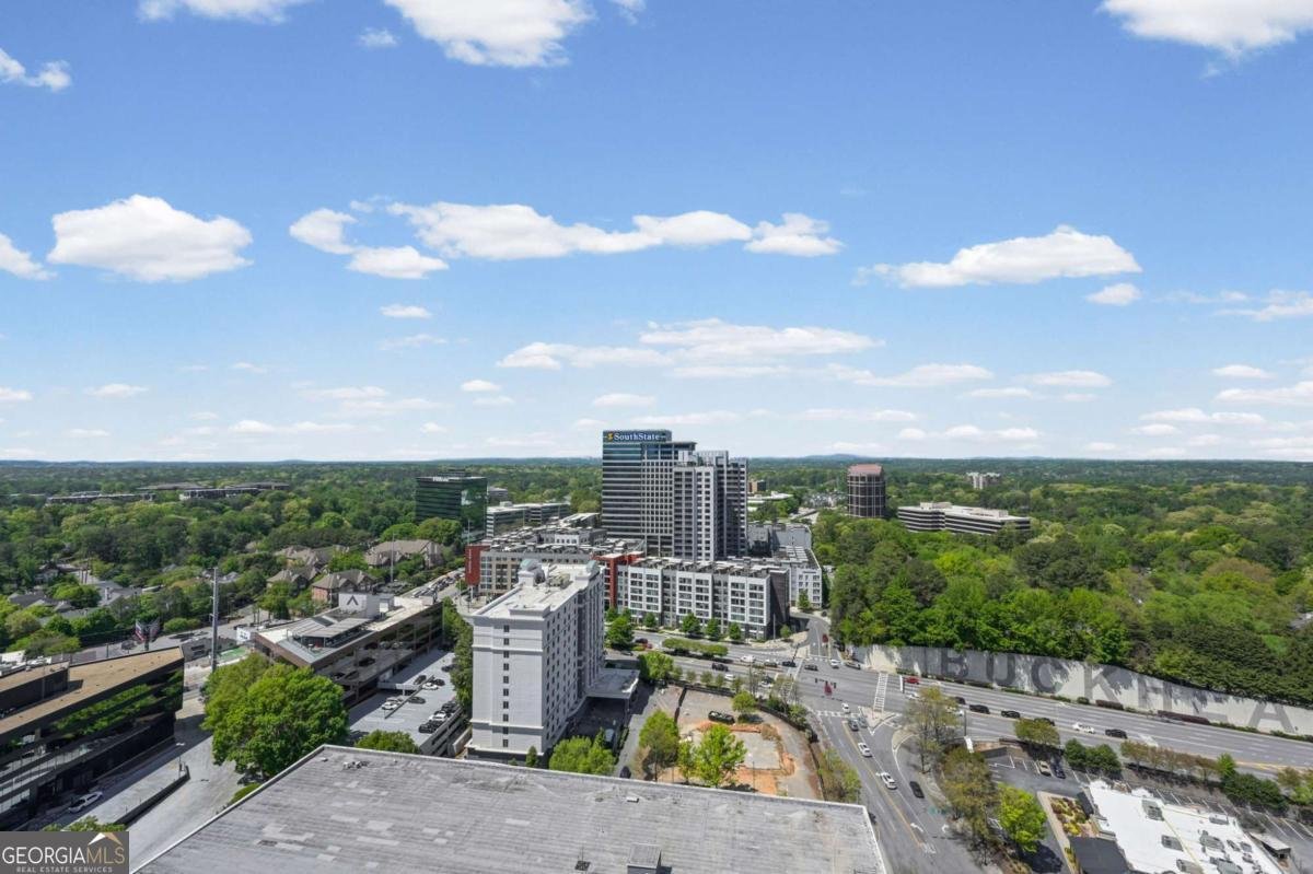 3338 Peachtree Road Atlanta - Photo 40