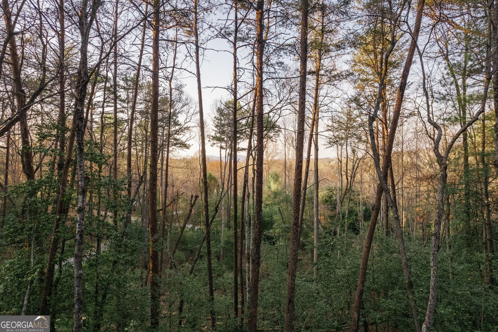 171 Huckleberry Lane Mineral Bluff - Photo 48