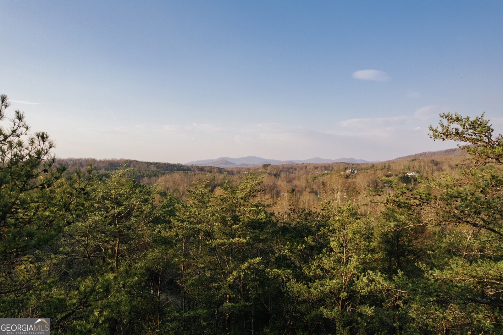 171 Huckleberry Lane Mineral Bluff - Photo 49