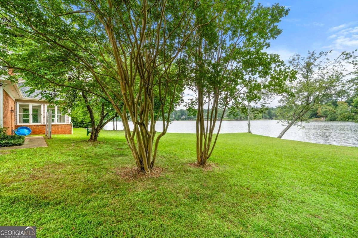 75 Spring Ridge Court Newnan - Photo 53