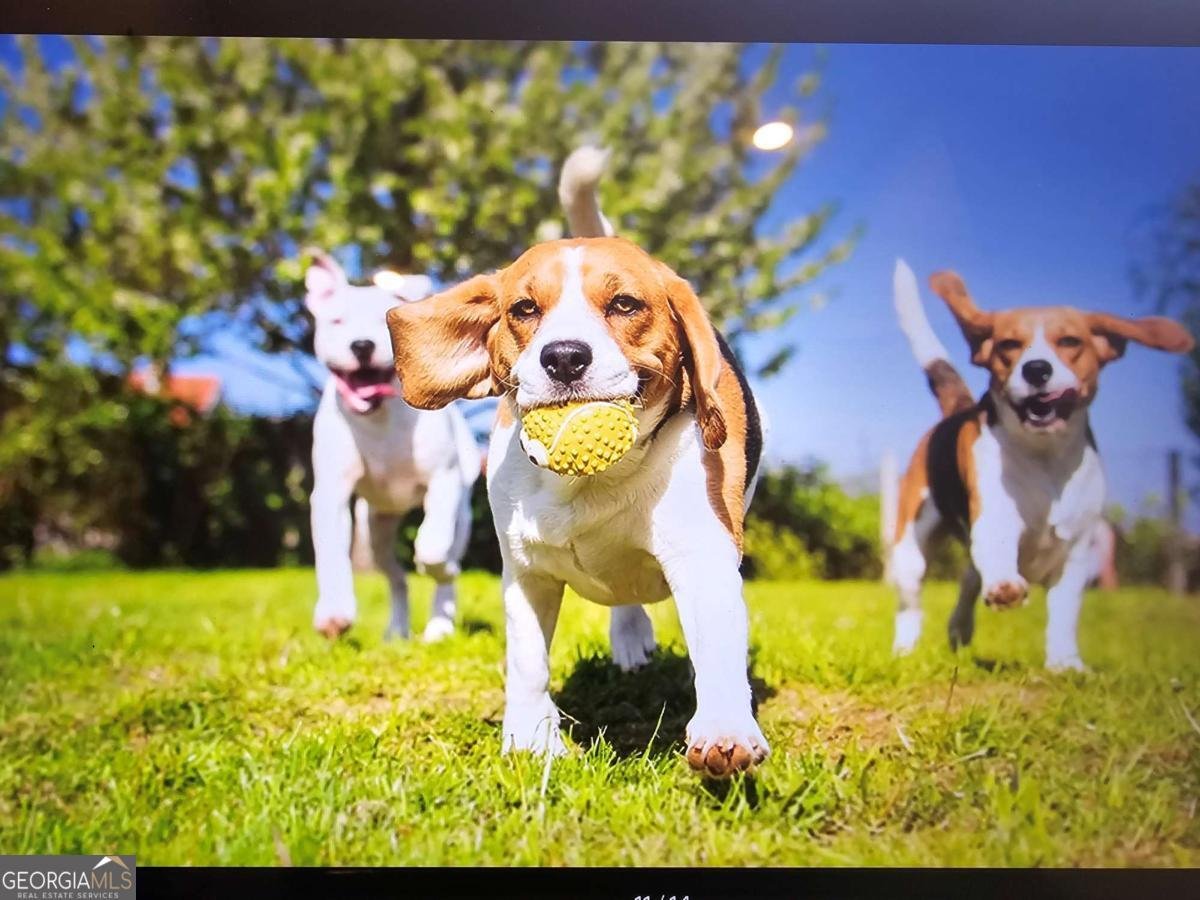 219 Parnassus Avenue Locust Grove - Photo 10