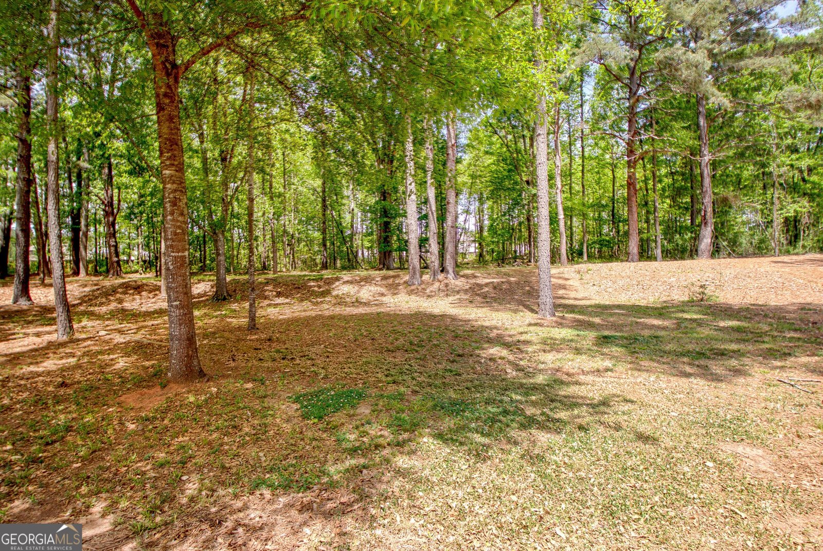 171 Clearview Estates Drive Newnan - Photo 63