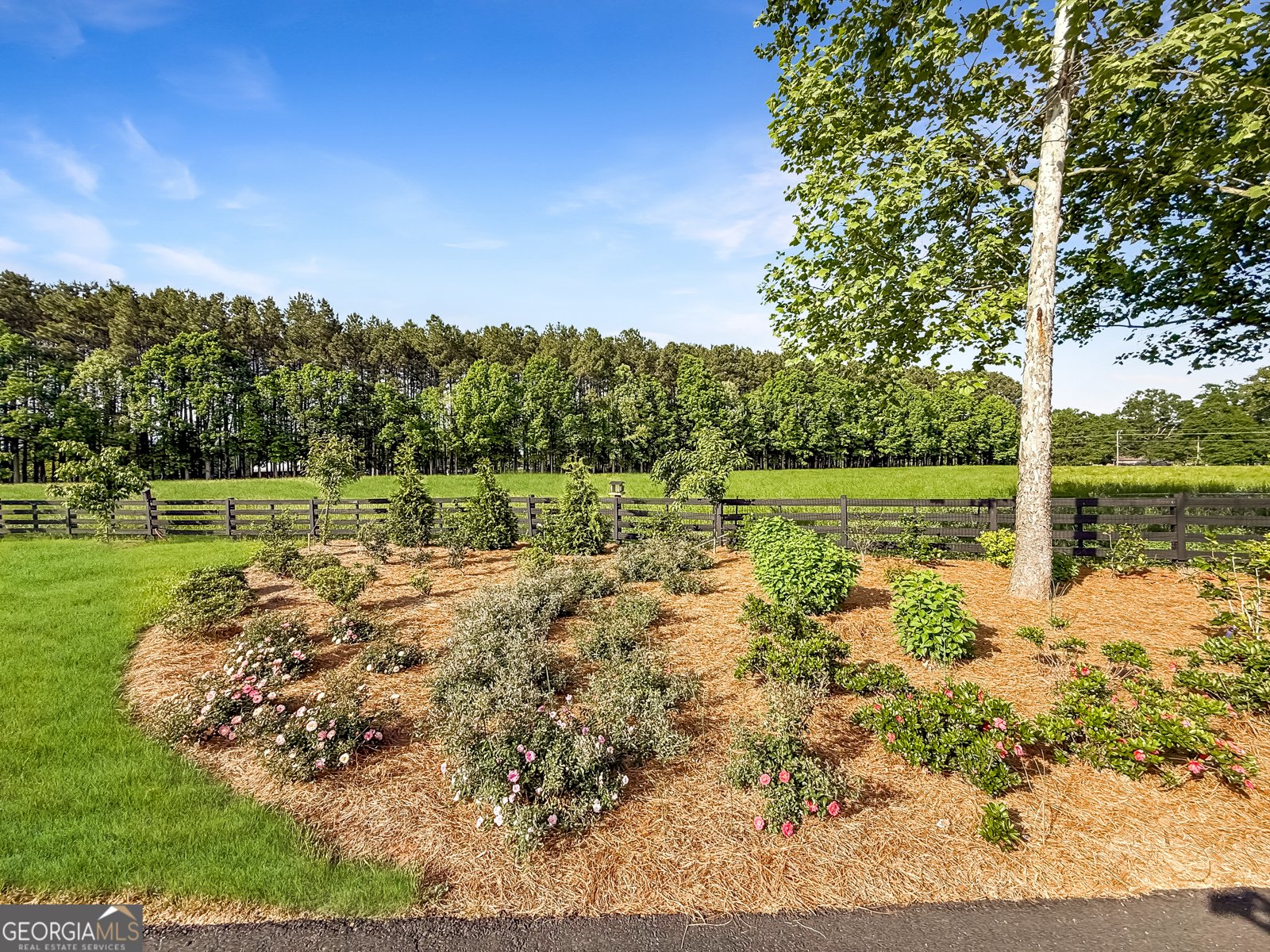 6356 Highway 191 Comer - Photo 39