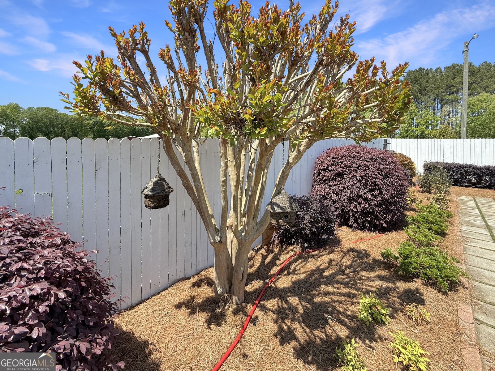 6356 Highway 191 Comer - Photo 63