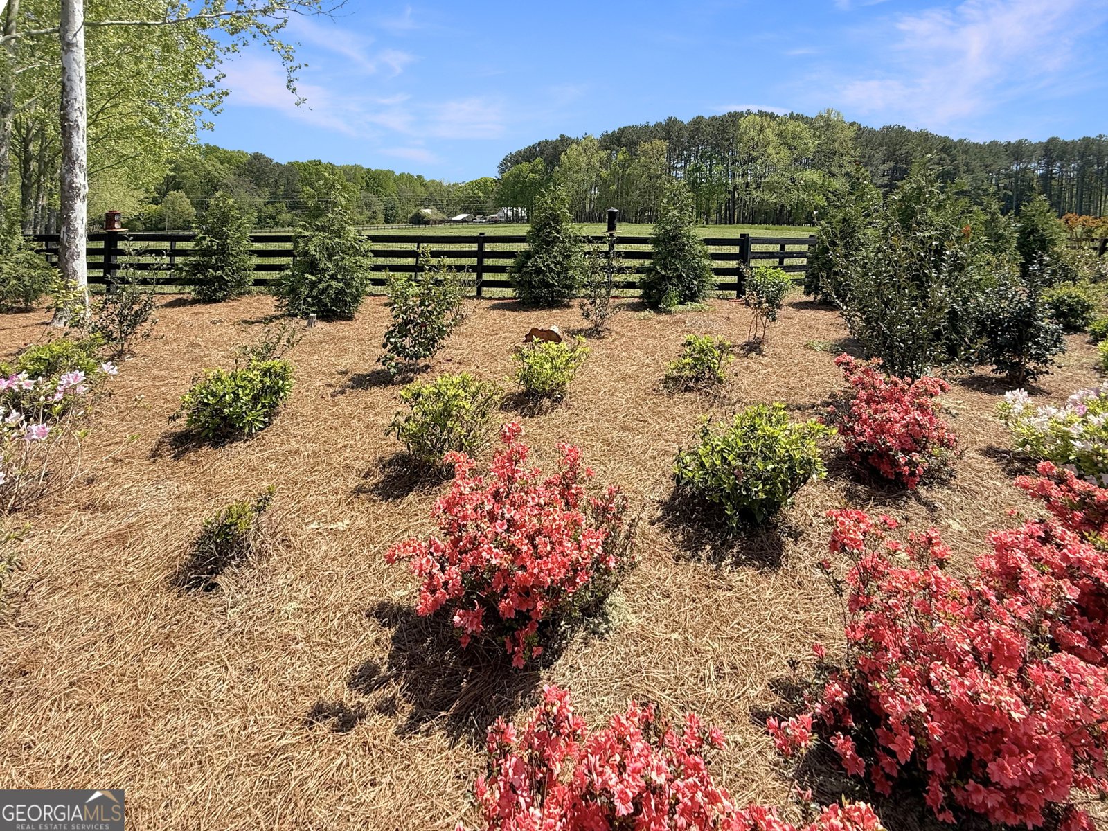 6356 Highway 191 Comer - Photo 74