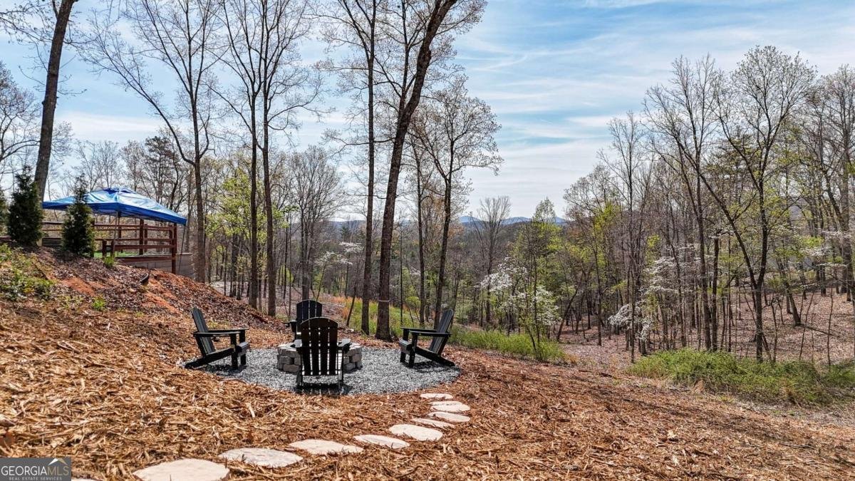 720 Split Creek Road Morganton - Photo 43